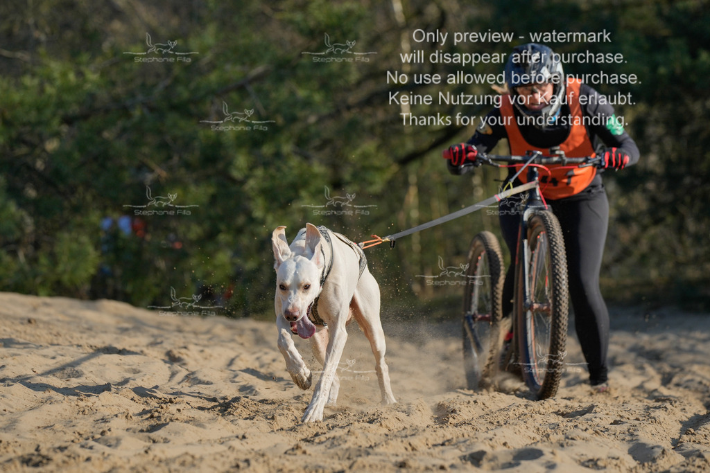 So_Scooter-264 | stephaniefillaphotographie - Realisiert mit Pictrs.com