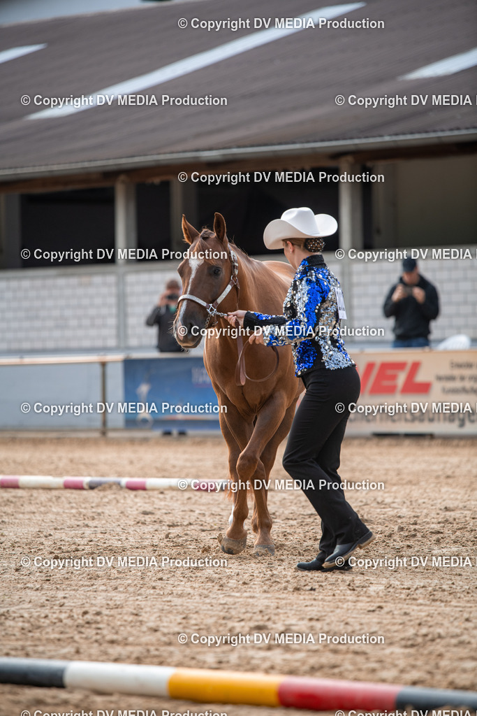 EWP_5571 | dv-media-shop - Realisiert mit Pictrs.com