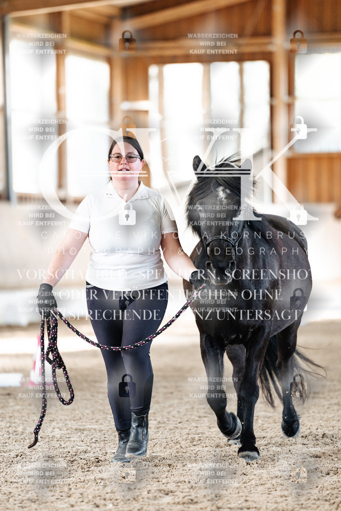 CK905654 | Turnierfotografie Pferdefotografie Trier Rheinland-Pfalz Pferdesport Reitsport Tierfotografie Sportfotografie Pferdevideo Pferdevideografie Equestrianvideography equestrianphotography  - Realisiert mit Pictrs.com