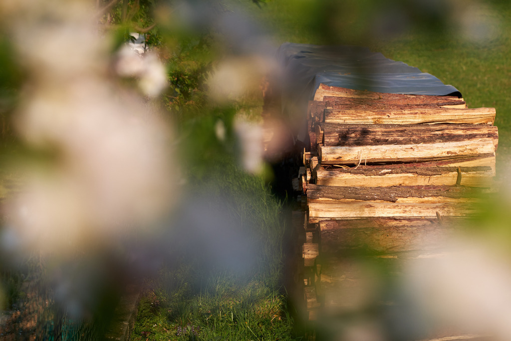 Brennholz auf einer Wiese gelagert | Austria - April 25, 2020: Impressionen aus dem Hausgarten; Brennholz auf einer Wiese gelagert. - Realisiert mit Pictrs.com