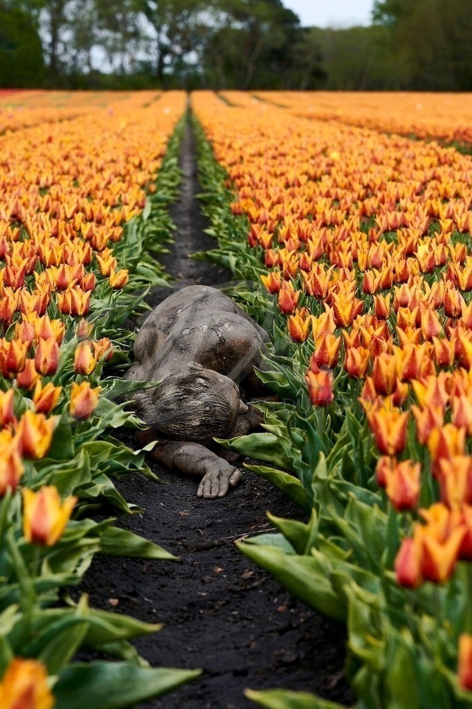 NatureArt-TULPENFELD_44d | In der Tulpenspur | #002 | Modell: Katey | Foto: Ulrich Stamm - Realisiert mit Pictrs.com