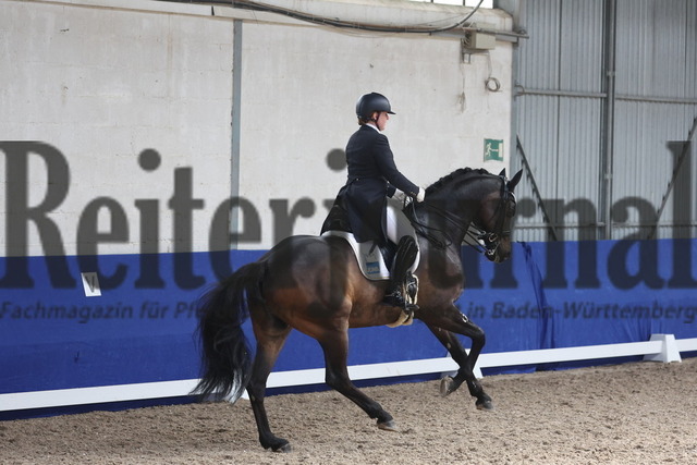 Pforzheim_2023_Dressur_Kl.S_Tina von Briel_Tallahassee 3 (13) | Alle Fotos der Reiterjournal Fotografin Doris Matthaes im Reiterjournal Online-Fotoshop. - Realisiert mit Pictrs.com