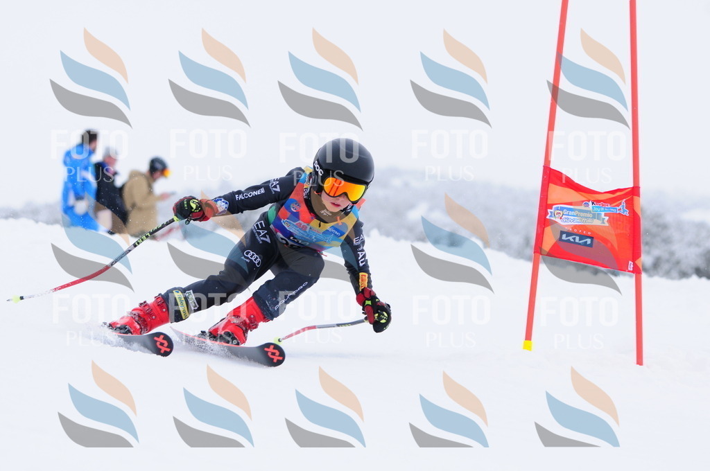 C3009 | holidayphoto