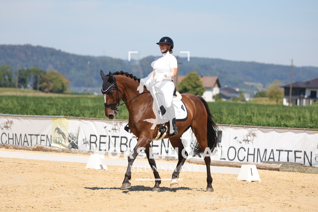 0P6A3621 | Willkommen bei Brunnmayr - Design & Fotografie – Ihrem Spezialisten für Reitturniere und Pferdeveranstaltungen in Oberösterreich, Salzburg und Bayern! Seit über 17 Jahren sind wir leidenschaftlich dabei.
