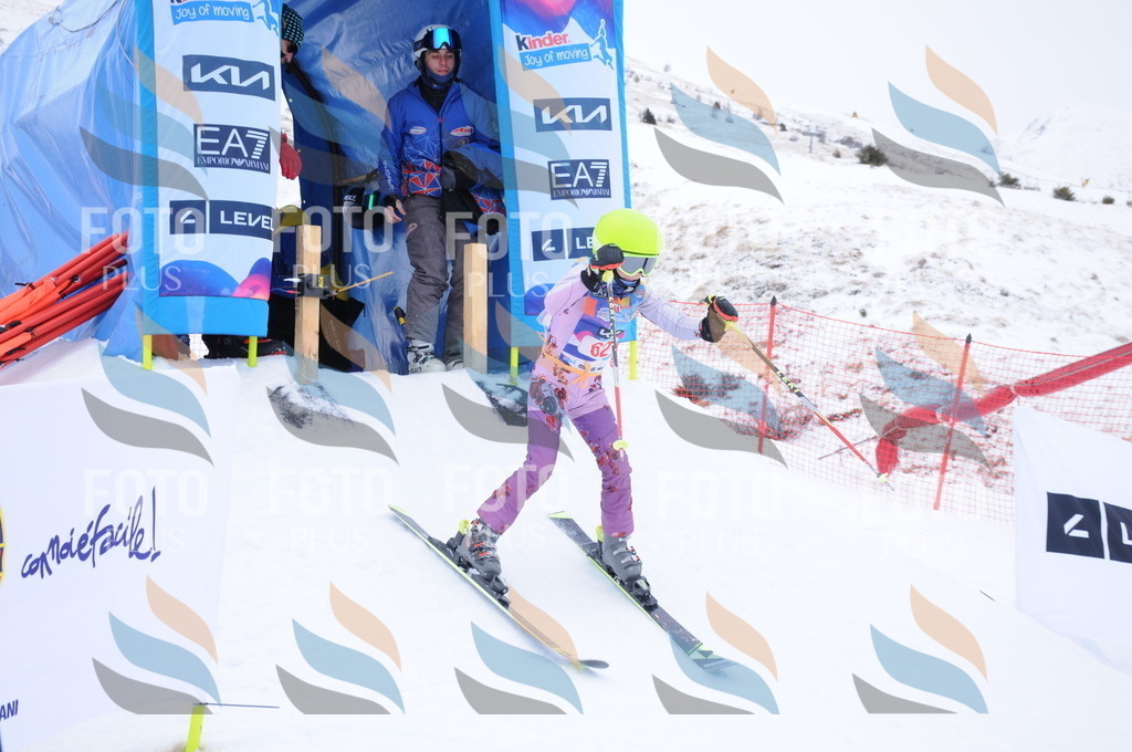 DSC_8010 | holidayphoto