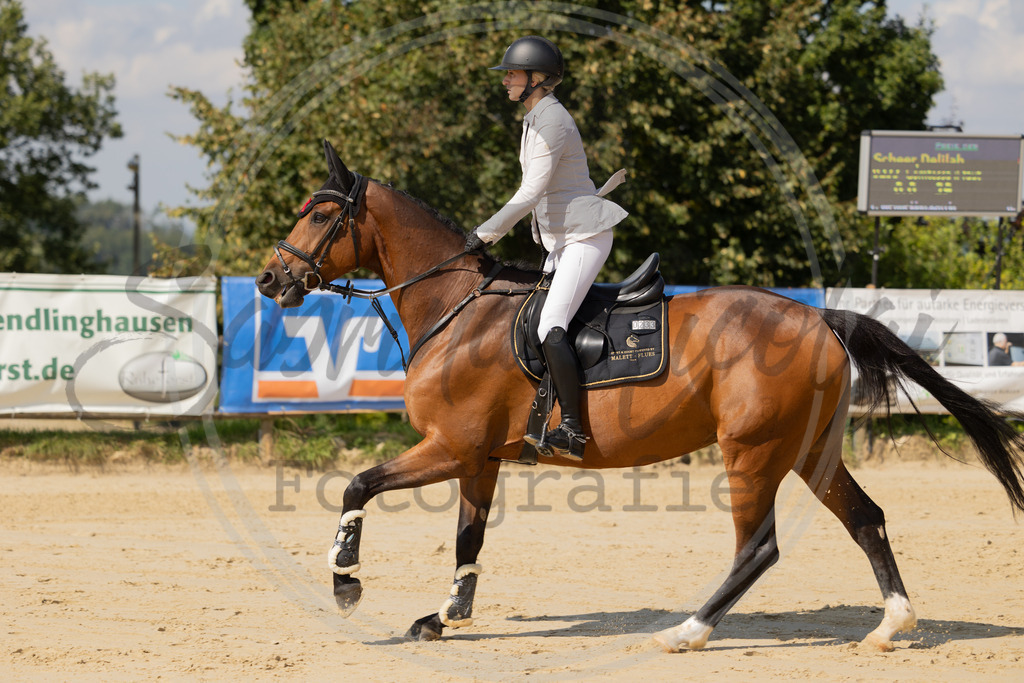 994A8199 | sabrinanicolaifotografie - Realisiert mit Pictrs.com