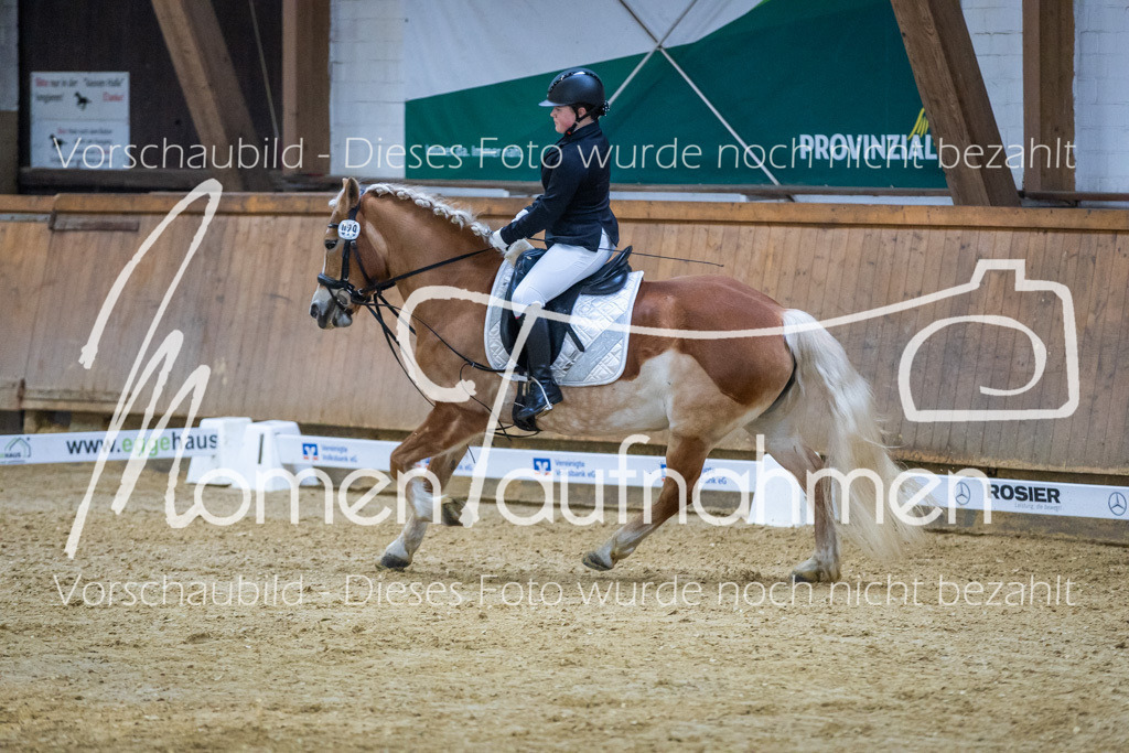 Sth-WBO25-DrR-151 | MomenTaufnahmen Pferdesportfotos