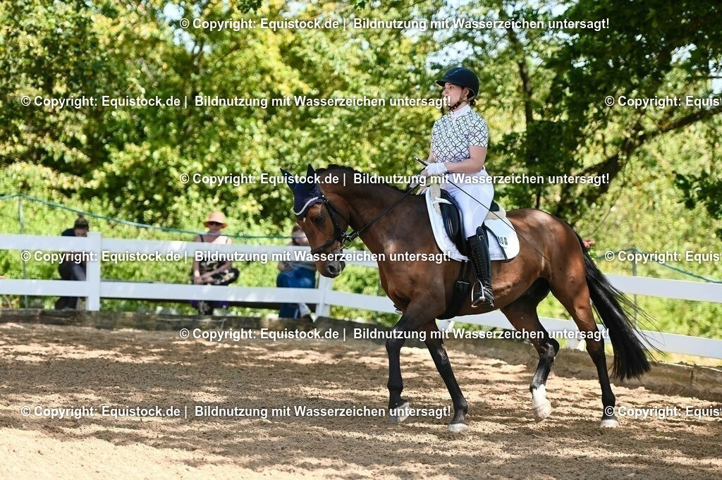 20230715_02_Dressurreiterprüfung Kl.L_0133 | equistock