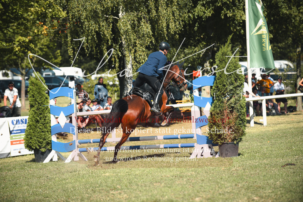 DSC_7700 | Pferde- und Turnierfotografie in Westsachsen. Pferdeportraits, Auftragszeichnungen und intuitive Kunst.
