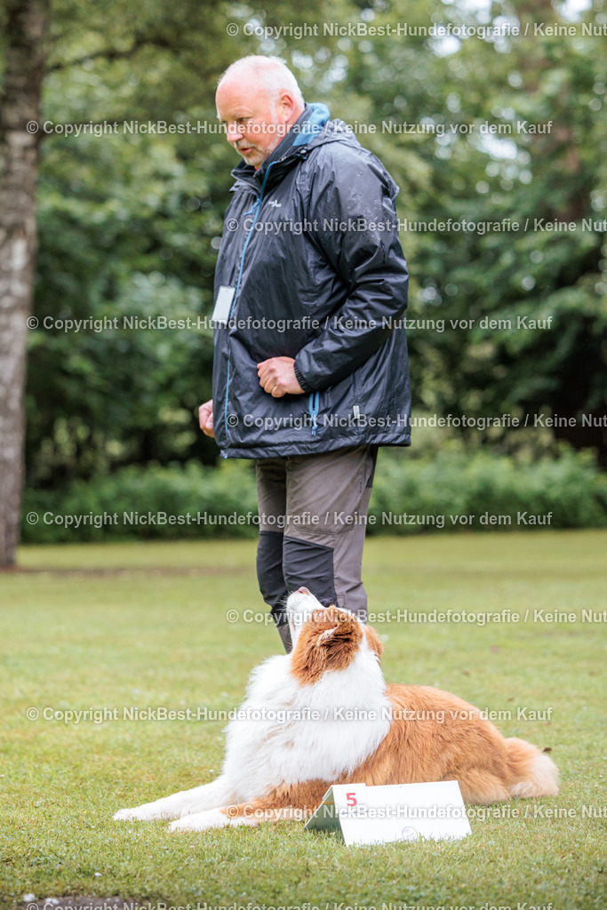 RO-Blumenthal-2026-Nickbest-Hundefotografie-0680 | Dein Hund! Dein Moment! Deine Erinnerungen! Hundefotografie in Bremen Blumenthal. Ich fange die besonderen Momente deines Vierbeiners ein – ob Indoor mit Blitzanlage oder in der freien Natur. Sicher dir dein Moment und dein Termin für eure Erinnerungen.