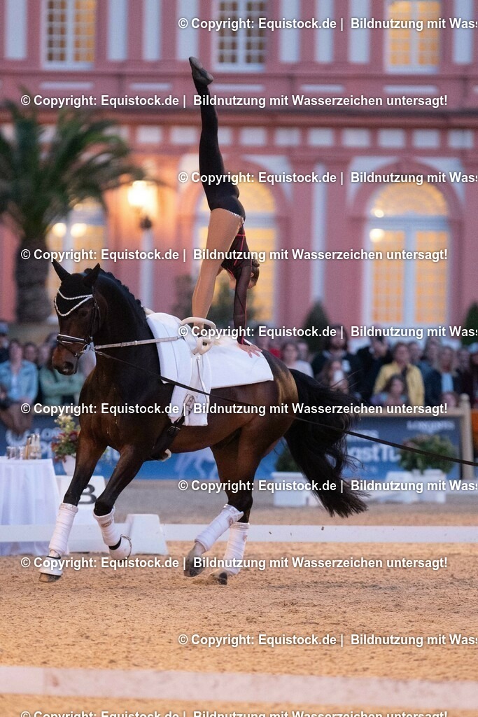 20230527_Voltigieren_NASPA_Flutlicht_0500 | equistock