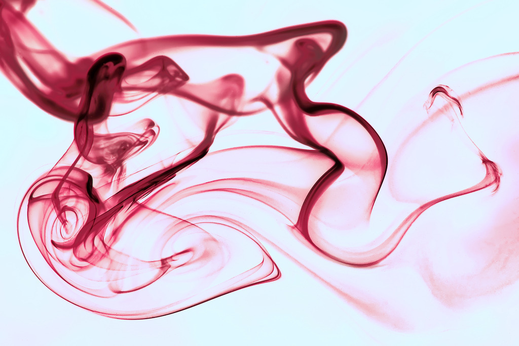 Milch-04 | In diesem Shop werden vorwiegend künstlerisch hochstehende Aufnahmen aus dem Bereich der Naturfotografie zum Verkauf angeboten. - In this store mainly artistic high quality shots from the field of nature photography are offered for sale. - Realisiert mit Pictrs.com