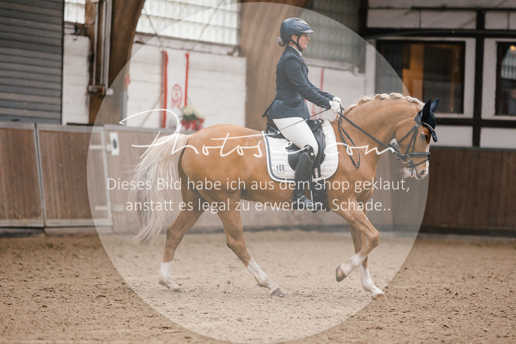 3I6A6280 | Stimmungsvolle Portraits und Reitsportfotografie im Ruhrgebiet und im Münsterland.

Pferdefotografie, Hundefotografie, Tierfotografie, Reportagen, Portraits von Tier und Mensch, Turnierfotografie in Bochum, Recklinghausen, Marl, Haltern am See, Dülmen.. - Realisiert mit Pictrs.com