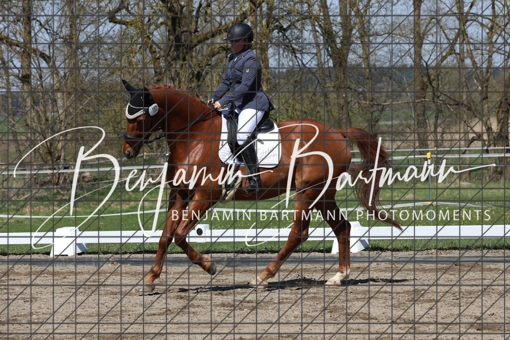 AZ2A4755 | Benjamin Bartmann Photomoments