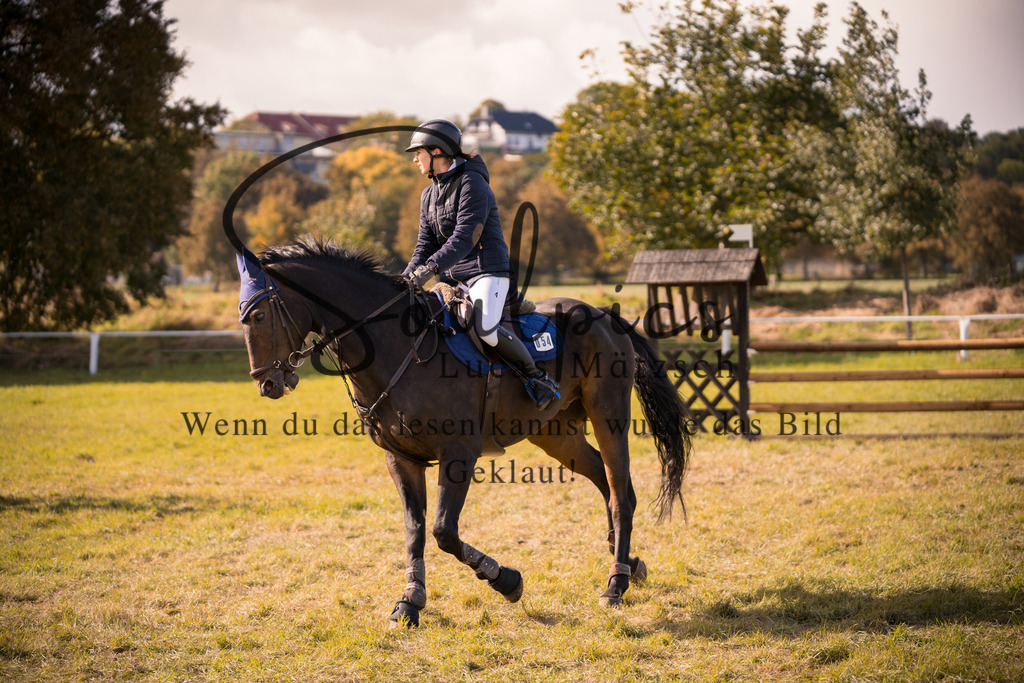 A7V06953 | Pferdefotograf