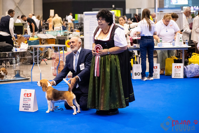 World Dog Show Donnerstag | World Dog Show 2023 Donnerstag im Palexpo in Genf 24.08.2023 Foto: Leo Wyden