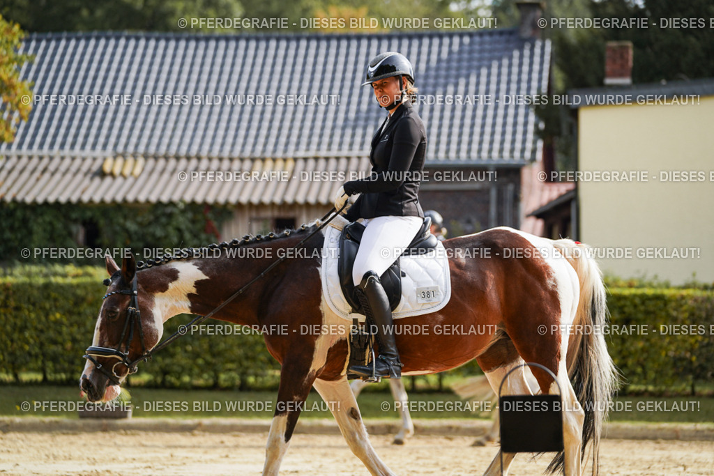 DSC04446 | Pferdegrafie