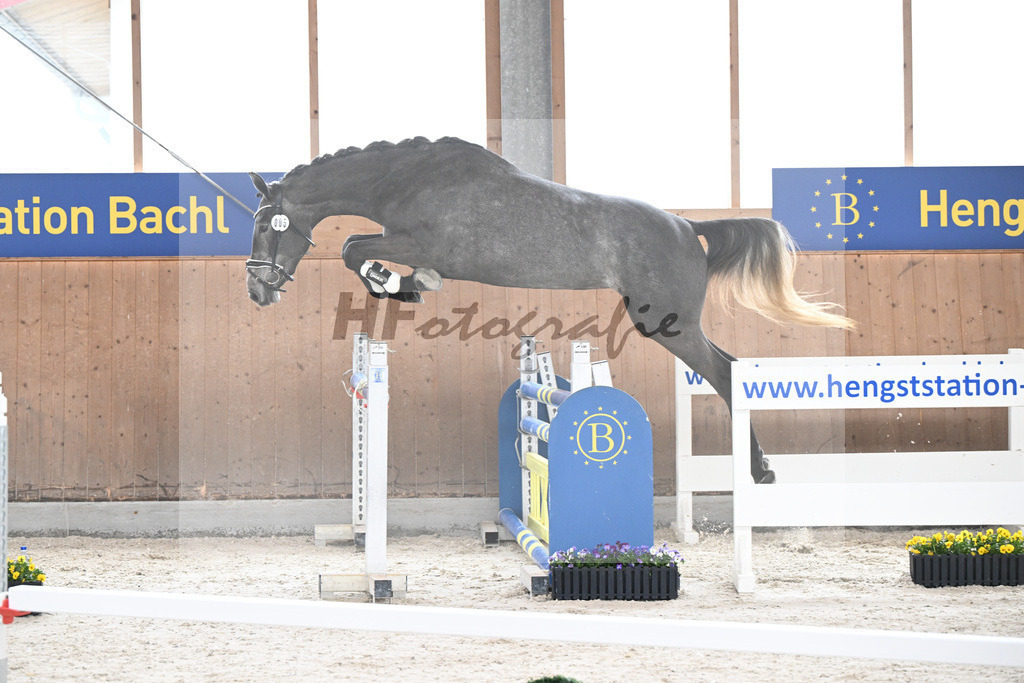 Kat-Nr. 5 Geyers Larimar v. Cizero Z_Geyer_5250284 | hf-fotografie - Realisiert mit Pictrs.com