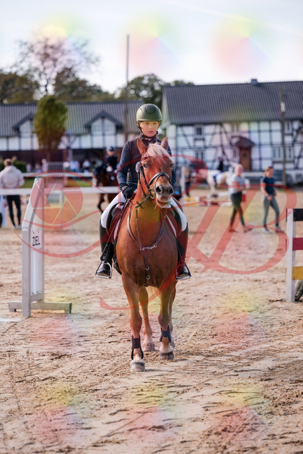 2026_10_03_Siefer-Hof_144540_Z81_21554232 | Professionelle Reitsport-, Turnier- und Eventfotografie von Robert Broda. Galerien mit ausgewählten und bearbeiteten Bildern direkt online ansehen und bestellen.