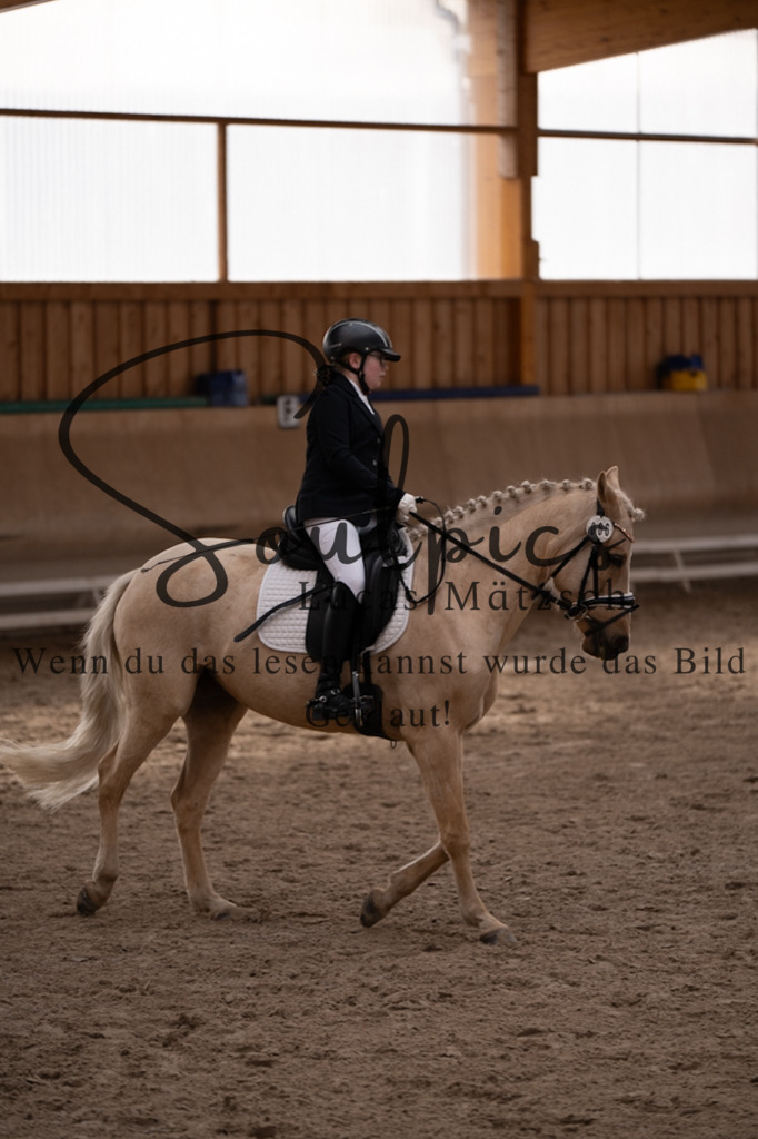 A7V09332 | Pferdefotograf