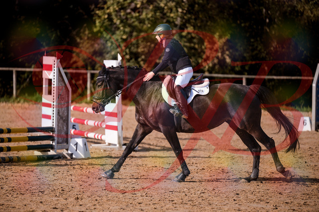 2026_10_03_Siefer-Hof_155008_Z81_69501016 | Professionelle Reitsport-, Turnier- und Eventfotografie von Robert Broda. Galerien mit ausgewählten und bearbeiteten Bildern direkt online ansehen und bestellen.