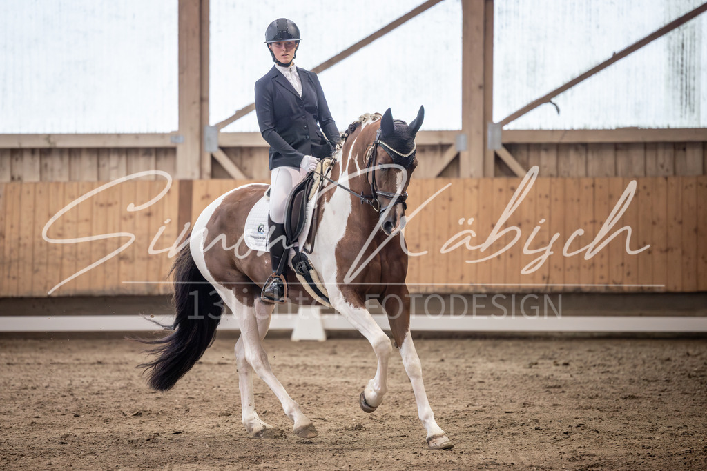 20251011-_3LI0077 | Tierfotografie Pferde, Hunde, Katzen, Haustiere.
Turnierfotografie Reitturniere, Reiten, Springreiten, Dressur in Hanau, dem Main-Kinzig-Kreis und dem Rhein-Main- Gebiet um Frankfurt