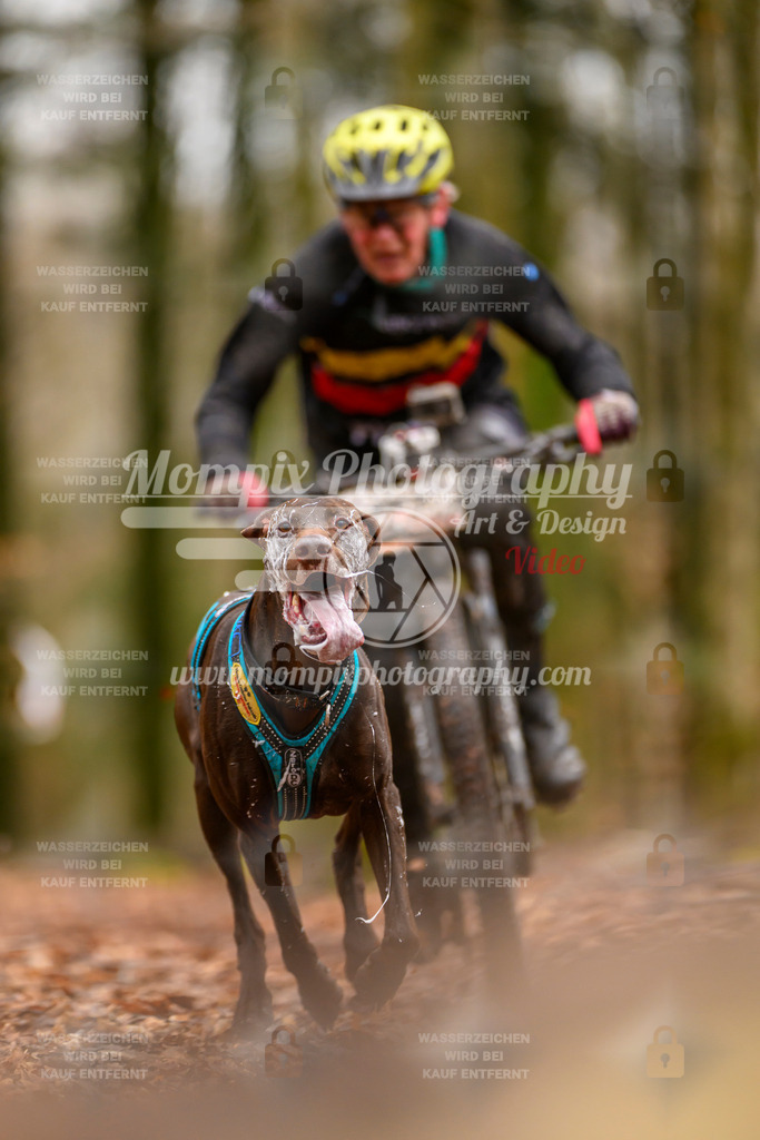 MompixPhotography_Habay2024_SA_Bike-32 | PayLife