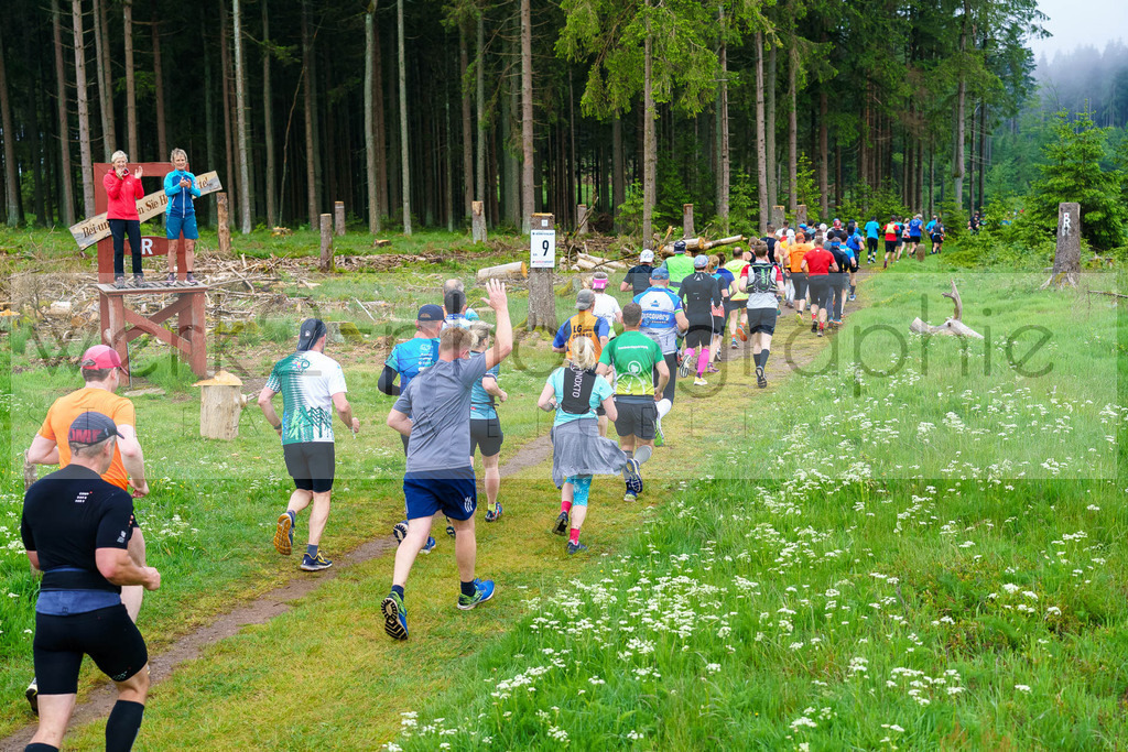 Rennsteiglauf Marathon 2024 | 25. Mai 2024 - 42,2 km von Neuhaus nach Schmiedefeld