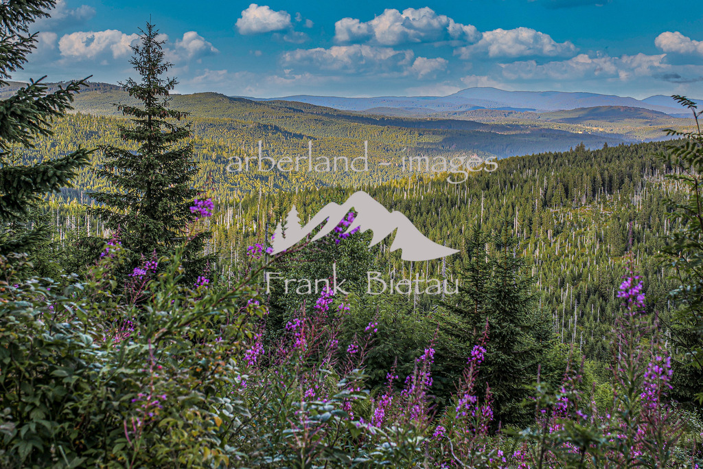 OE7A2042 Kopie-2 | Medien- Sport- Entertainmentfotos