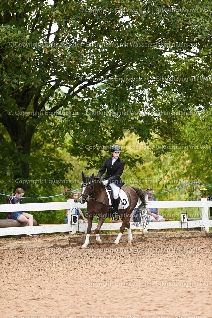 20230716_10-2_Reiter-WB Schritt - Trab - Galopp_0074 | equistock
