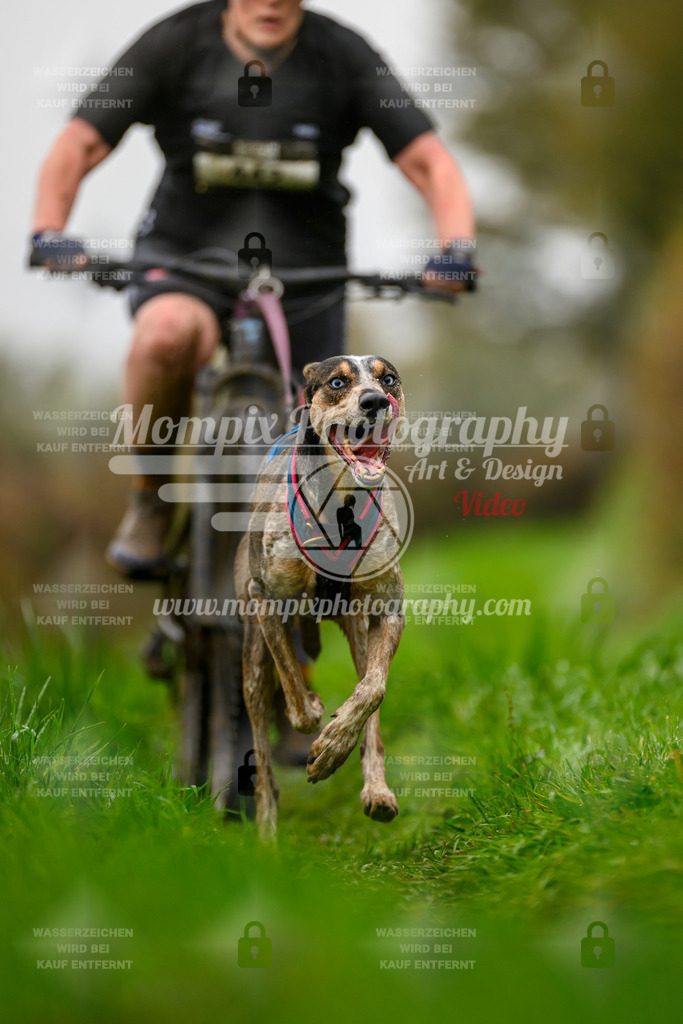 MompixPhotography_20TSB_E8_Bike-131 | PayLife