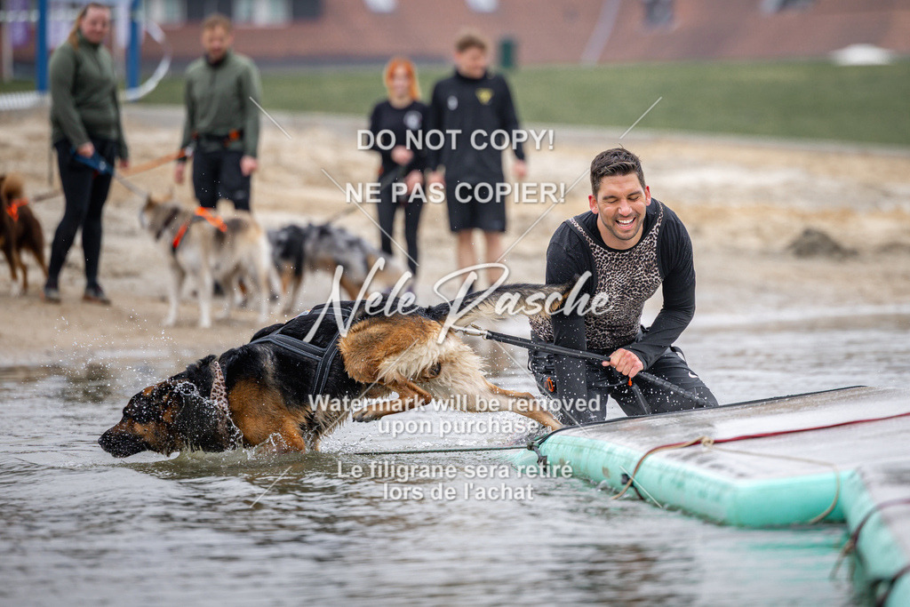 nelerasche_Hulsbeek_Sa1030-1100_498 | nelerasche