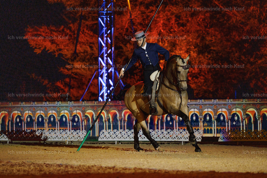 FHClassics-184 | working equitationturnier fotograf videograf stoibphotography marixx film working equitation deutschland reitsport turnierfotografie eventfotografie equestrian events