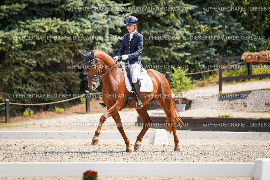 DSC01015 | Pferdegrafie