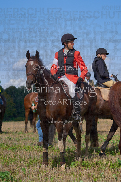 08-23 Bredeneek Jagd_MCH9192_Marina Hewig | Fotografie, FotoArt, PferdesportArt, Pferdesportfotografie, Landschaftsfotografie, Reisefotografie, Reise, Pferde - Realisiert mit Pictrs.com