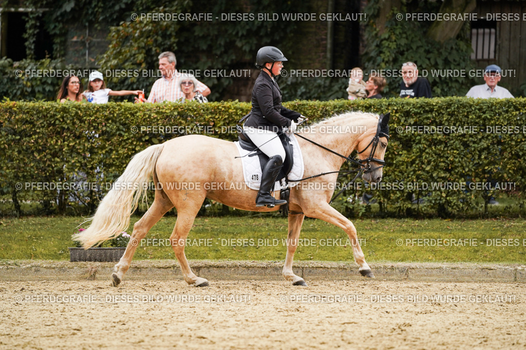 DSC00189 | Pferdegrafie