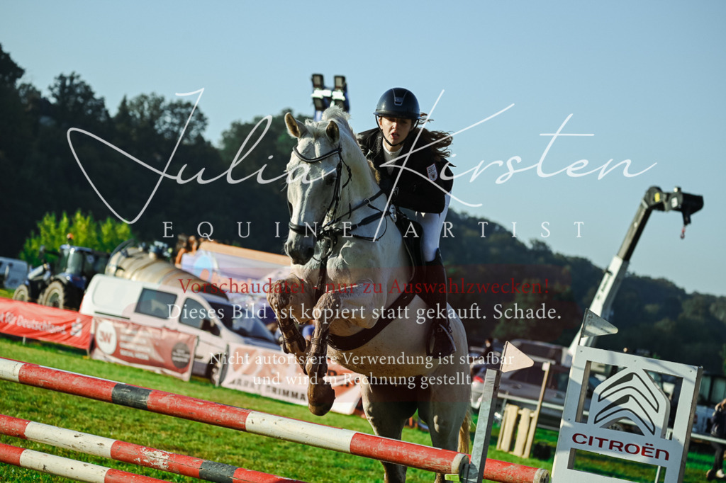 DSC_4059 | Pferde- und Turnierfotografie in Westsachsen. Pferdeportraits, Auftragszeichnungen und intuitive Kunst.