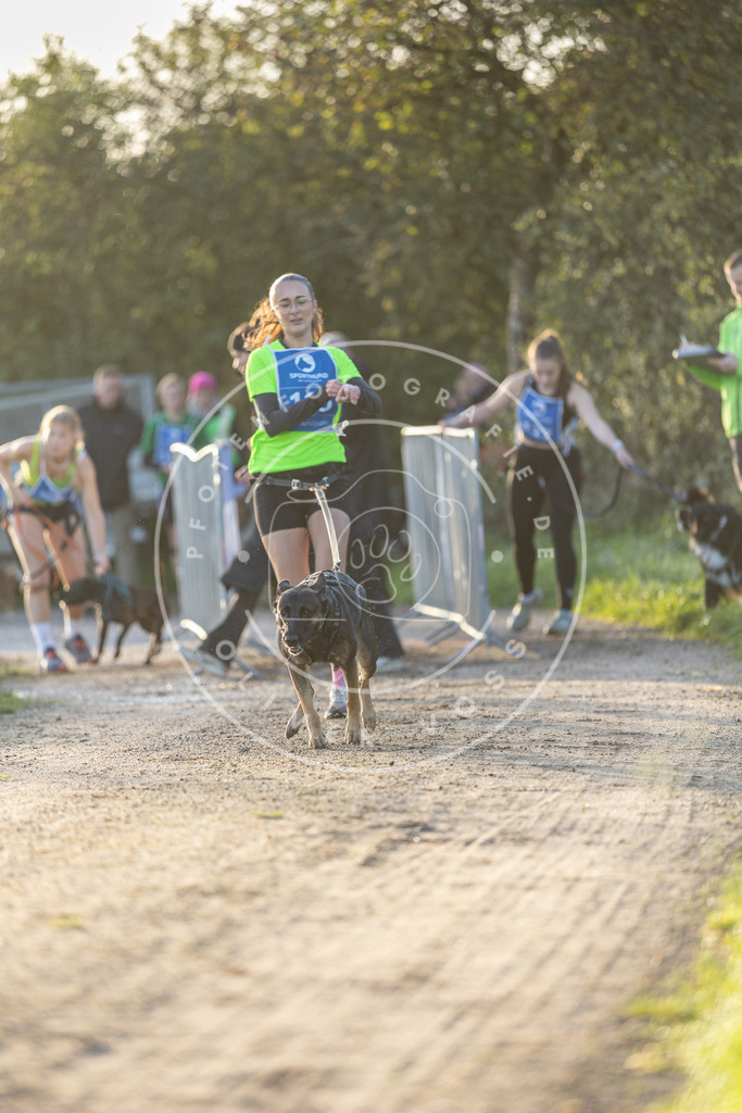 Pfotenfotografie.de_DV3A2439 | Hundefotografie, Tierfotograf, Pfotenfotografie, Fotoshooting Hund, Hunde Portrait, Hundesport, Hundeportraits, Heideshooting, Hunde, Sportfotograf, Hundefotograf, Turnierhundsport, THS, canicross - Realisiert mit Pictrs.com