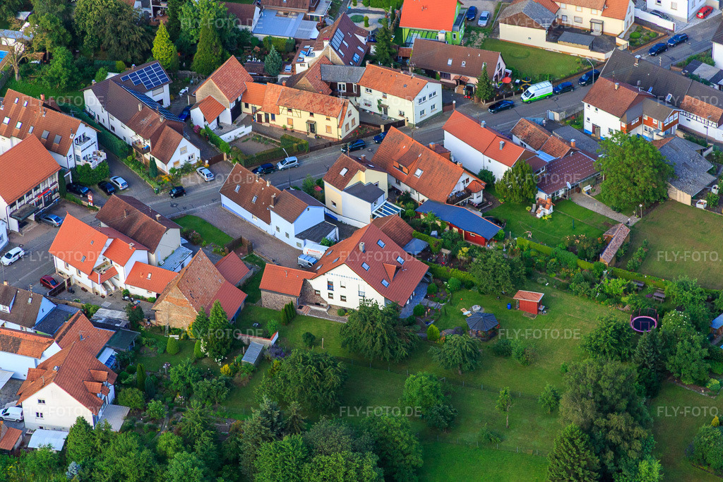 Luftbild: Eichstr in Minfeld im Bundesland Rheinland-Pfalz in Deutschland. Foto: IMG_090273.jpg vom 26.06.2016 durch Werner Riehm/FLY-FOTO.de