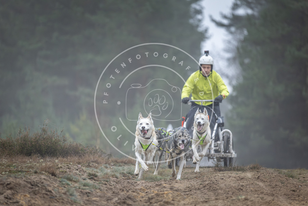 Pfotenfotografie_DV3A0575 | Hundefotografie, Tierfotograf, Pfotenfotografie, Fotoshooting Hund, Hunde Portrait, Hundesport, Hundeportraits, Heideshooting, Hunde, Sportfotograf, Hundefotograf, Turnierhundsport, THS,  - Realisiert mit Pictrs.com