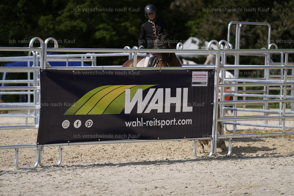 PI26_COW_Stoibphotography_A749448.JPG | working equitationturnier fotograf videograf stoibphotography marixx film working equitation deutschland reitsport turnierfotografie eventfotografie equestrian events
