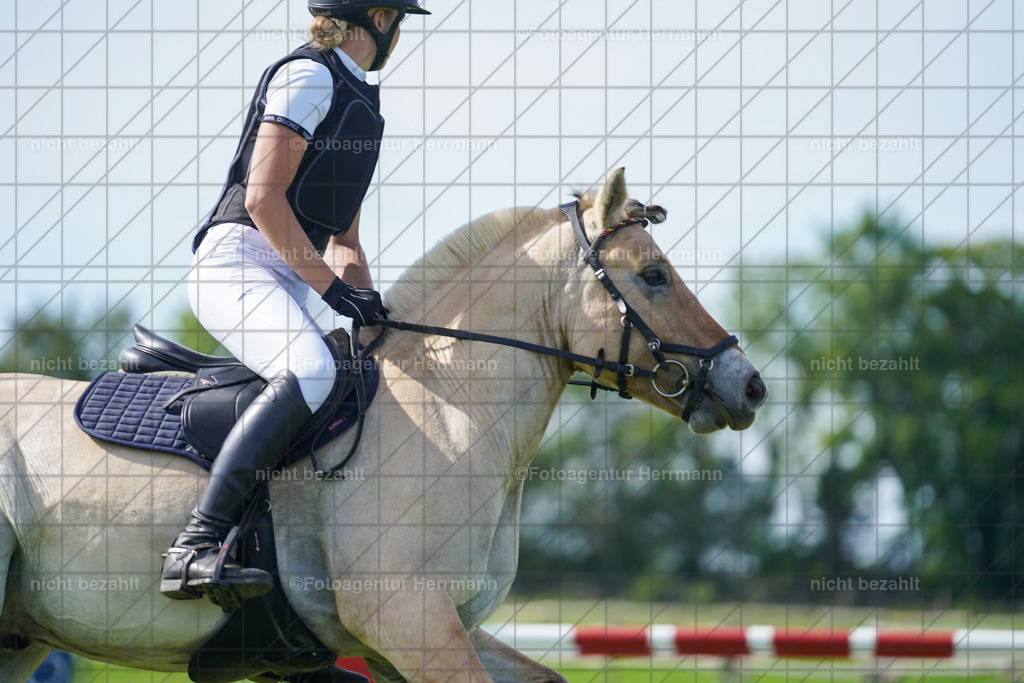20230917-FAH09558 | Landsberg am Lech, 2023, Kaufbeuren, Kempten, Allgäu, Turnierfotografen Bayern, Fotoagentur Herrmann, Turnierbilder, Reitsport Fotos, Pferdefotograf, Augsburg, Bad Tölz, Dachau, Karlsfeld, Memmingen, Buchloe, Schwabmünchen