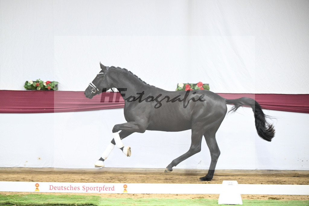 Kat-Nr. 39 Secret x Finest_Ignaz Berger_47251389 | hf-fotografie - Realisiert mit Pictrs.com