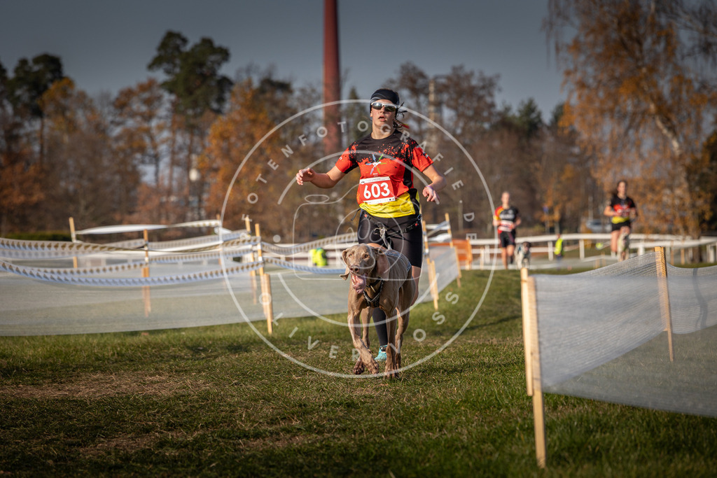 CaniXpix_0L8A0069 | Hundefotografie, Tierfotograf, Pfotenfotografie, Fotoshooting Hund, Hunde Portrait, Hundesport, Hundeportraits, Heideshooting, Hunde, Sportfotograf, Hundefotograf, Turnierhundsport, THS,  - Realisiert mit Pictrs.com