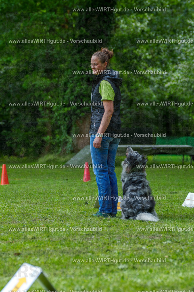 @allesWIRTHgut_Tierfotografie - www.allesWIRTHgut.de - 7R504794 | Professionelle Tierfotografie in Mönchengladbach von Daniel Wirth (allesWIRTHgut). Liebevolle & natürliche Bilder von Hunden & Katzen für unvergessliche Erinnerungen.