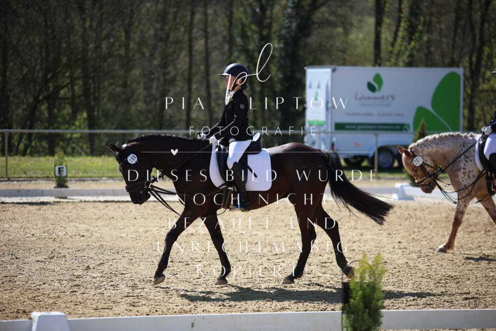 IMGT0563 | pl-fotografie