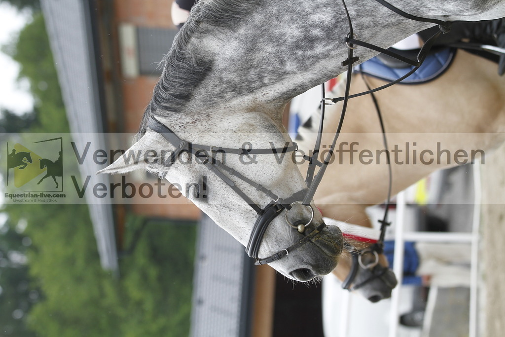 _MG_0361 | equestrian-live-com