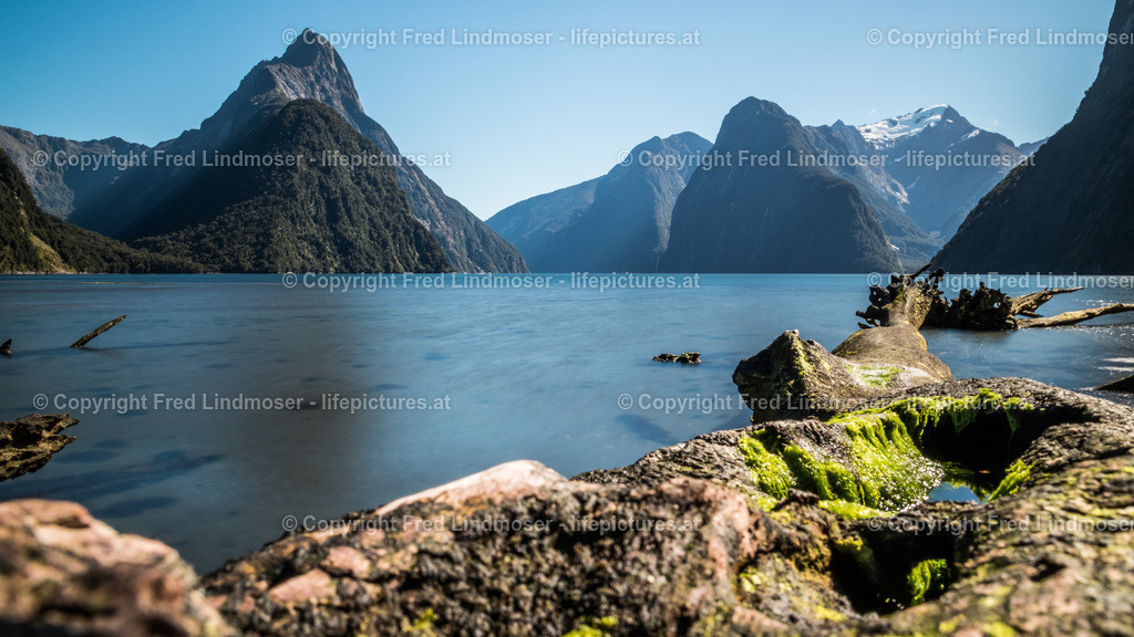 Neuseeland-1268 | Fotos und Fotoprodukte - Realisiert mit Pictrs.com