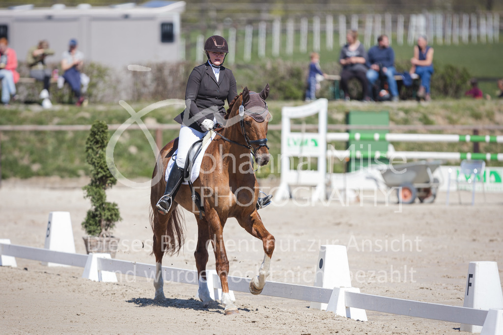 220418_L-Dressur-228 | Frühlingsfest der Pferde
Herford
18.April 2022
Dressurprfg. Kl.L* - Tr. L2ausw. geschlossen