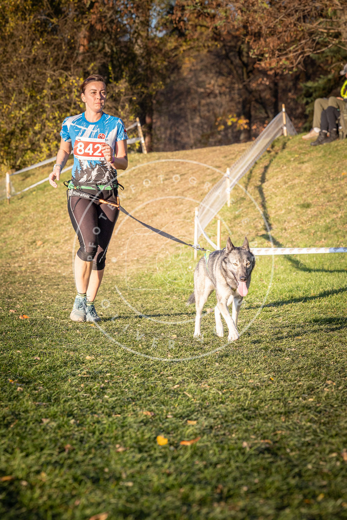CaniXpix_0L8A0819 | Hundefotografie, Tierfotograf, Pfotenfotografie, Fotoshooting Hund, Hunde Portrait, Hundesport, Hundeportraits, Heideshooting, Hunde, Sportfotograf, Hundefotograf, Turnierhundsport, THS,  - Realisiert mit Pictrs.com
